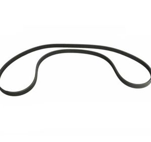 Serpentine Belt