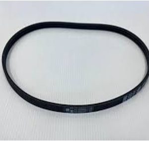 Water Pump Belt